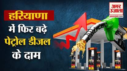 Petrol Diesel Price Continue To Rise In Haryana