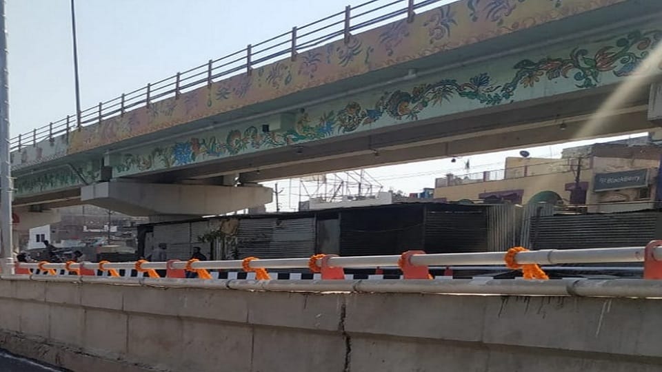fearing to be caught miscreant jumped from flyover in delhi