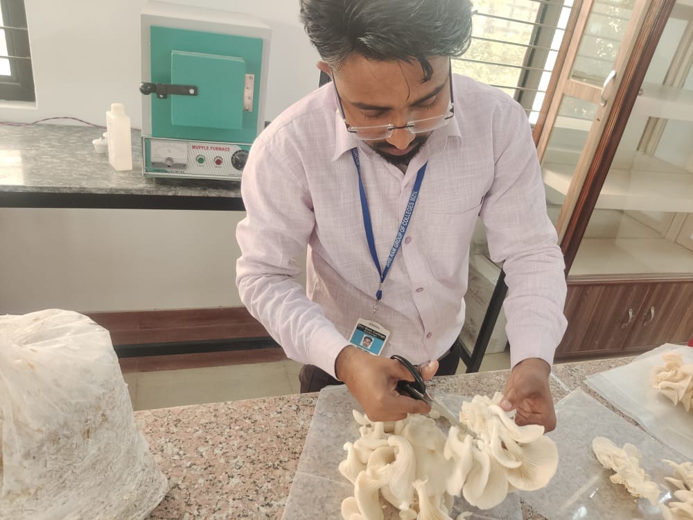 Told the method of production of mushroom at home