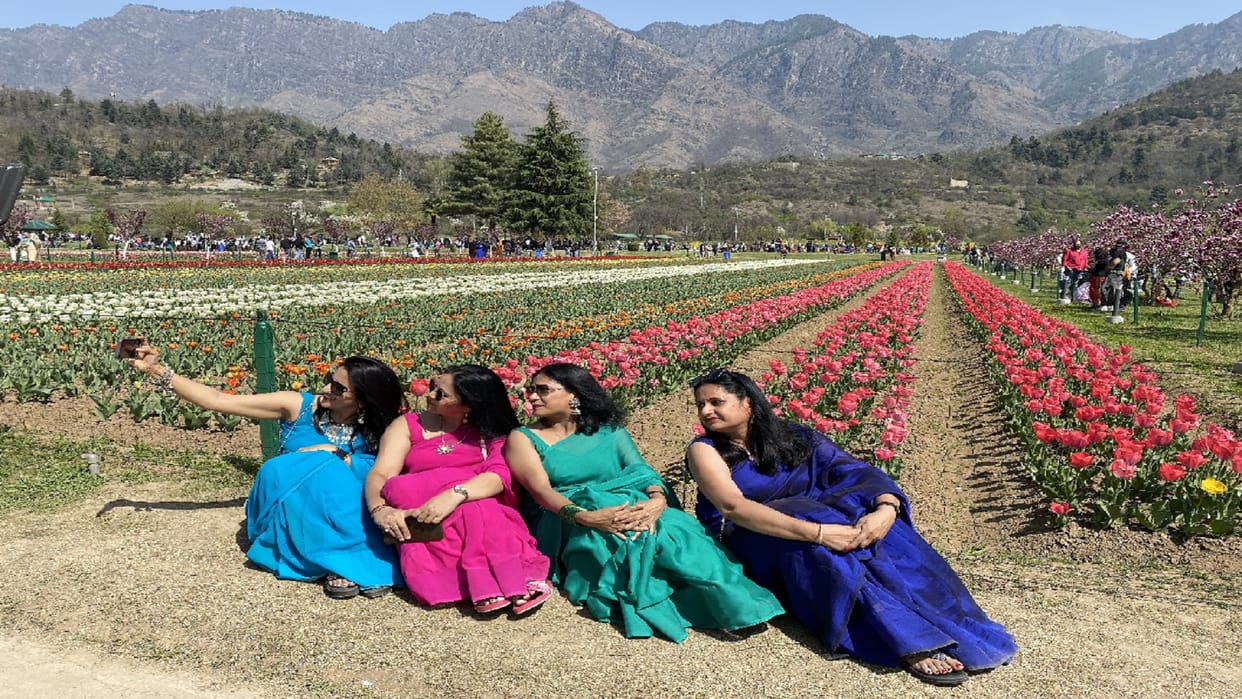 Kashmir Tulip Garden within three days reached 35 thousand tourists