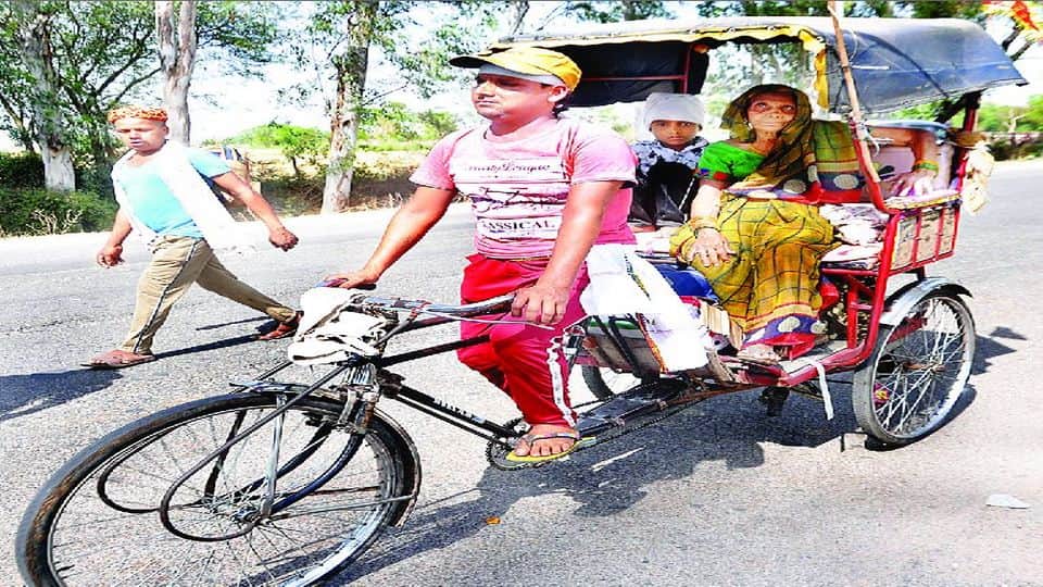 thousands of devotees going to Karauli for Kali Devi Darshan