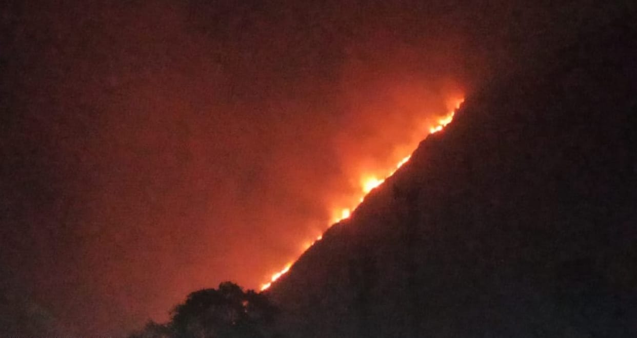Forest fire broke out at Eight places in Uttarakhand