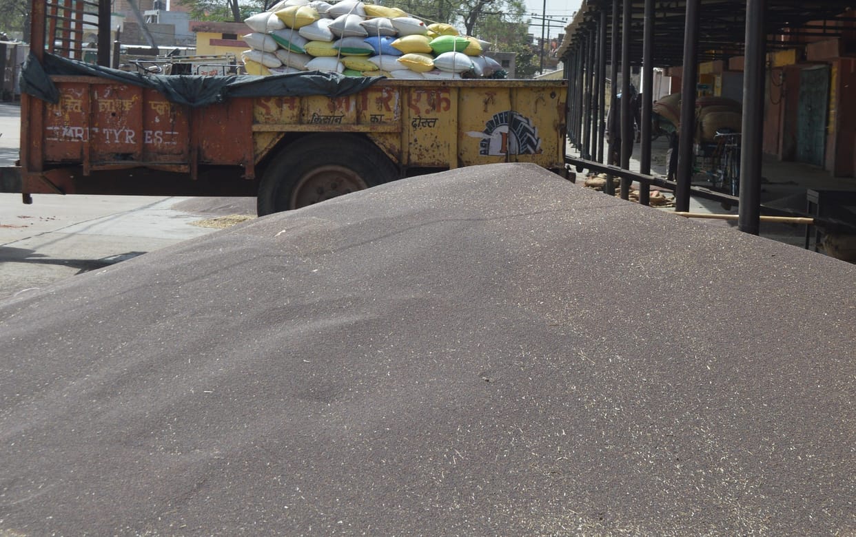 Hathras: Mustard prices increased by Rs 400 a quintal, farmers happy