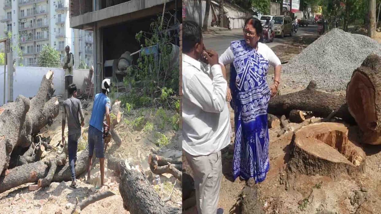 Kanpur: Old neem tree being cut for showroom