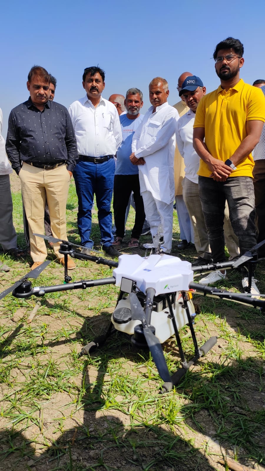 Drone sprayed insecticide on sugarcane crop