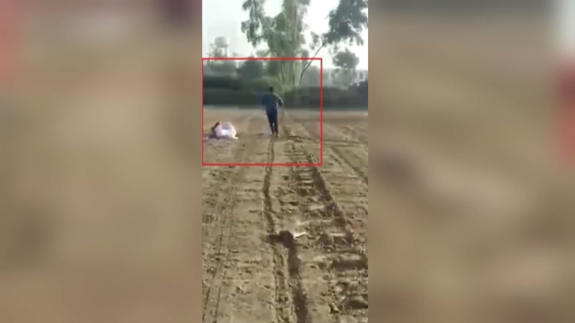 Bijnor murder case: Ration dealer Devindra was murdered in family issue and see photos of murder