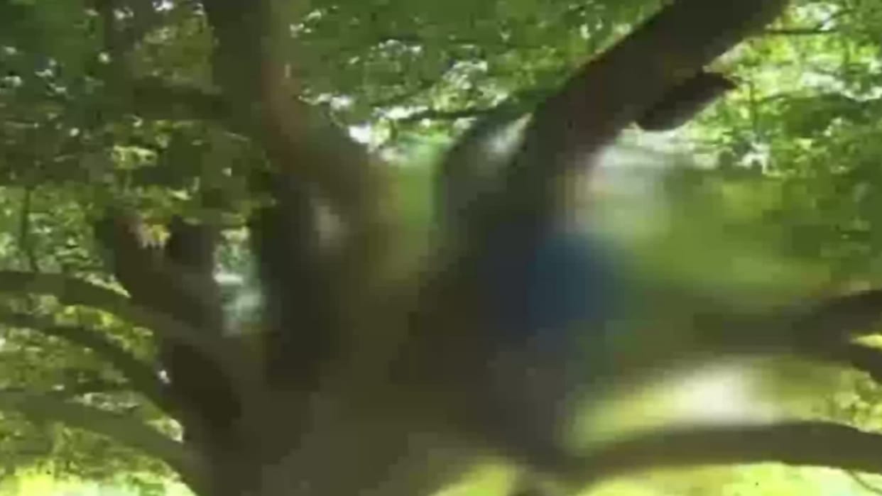 Old man committed suicide by hanging himself after troubled by saas bahu fight in Muzaffarnagar