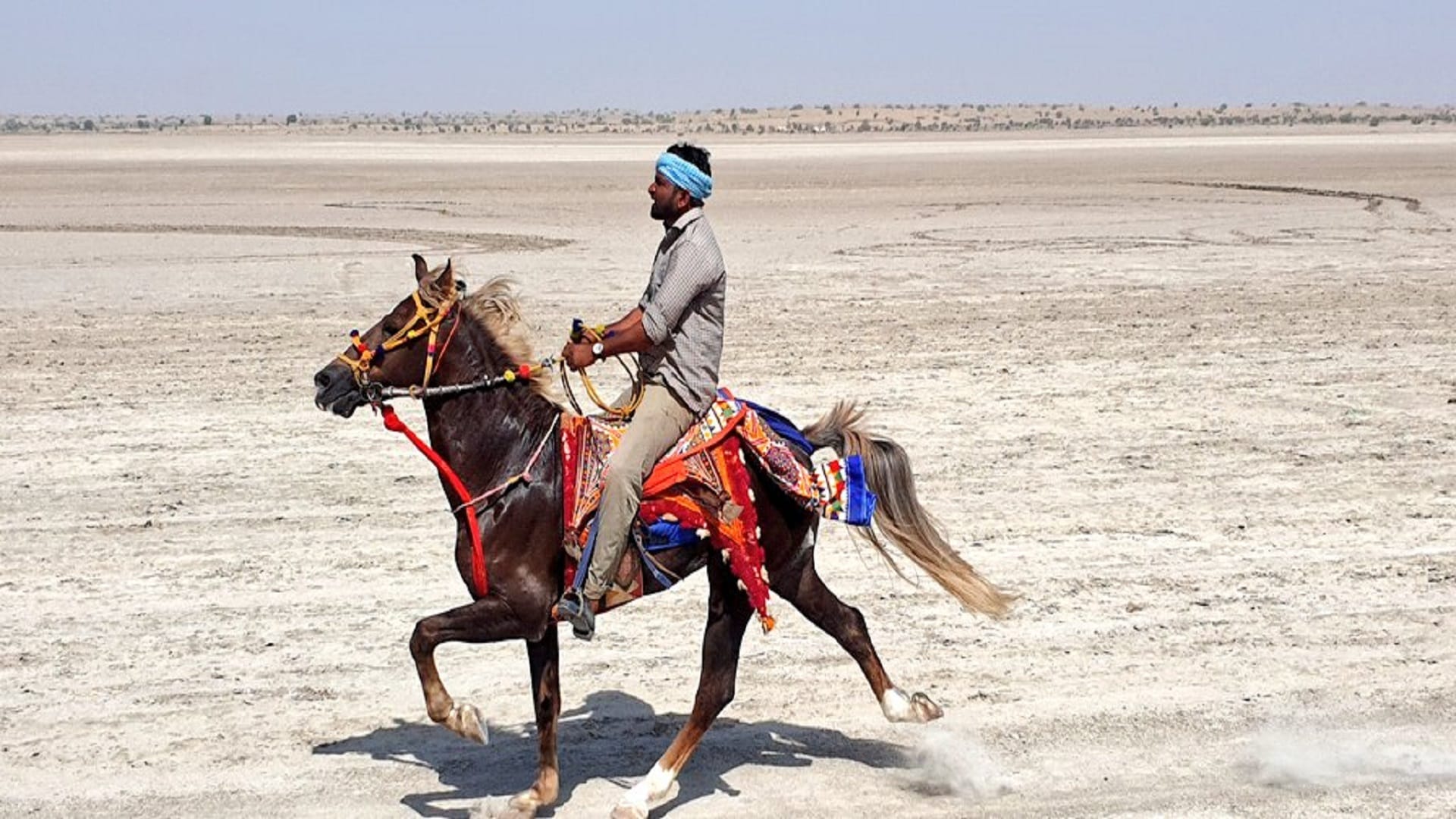 Thar Festival started in Barmer after 10 years