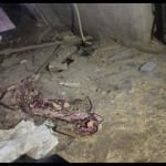 धमाके से दरवाजे और खिड़कियां क्षतिग्रस्त