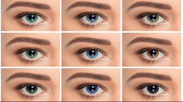 Samudrik Shastra What Does Eye Color Say About Your Personality Some Interesting Facts To Know 6576