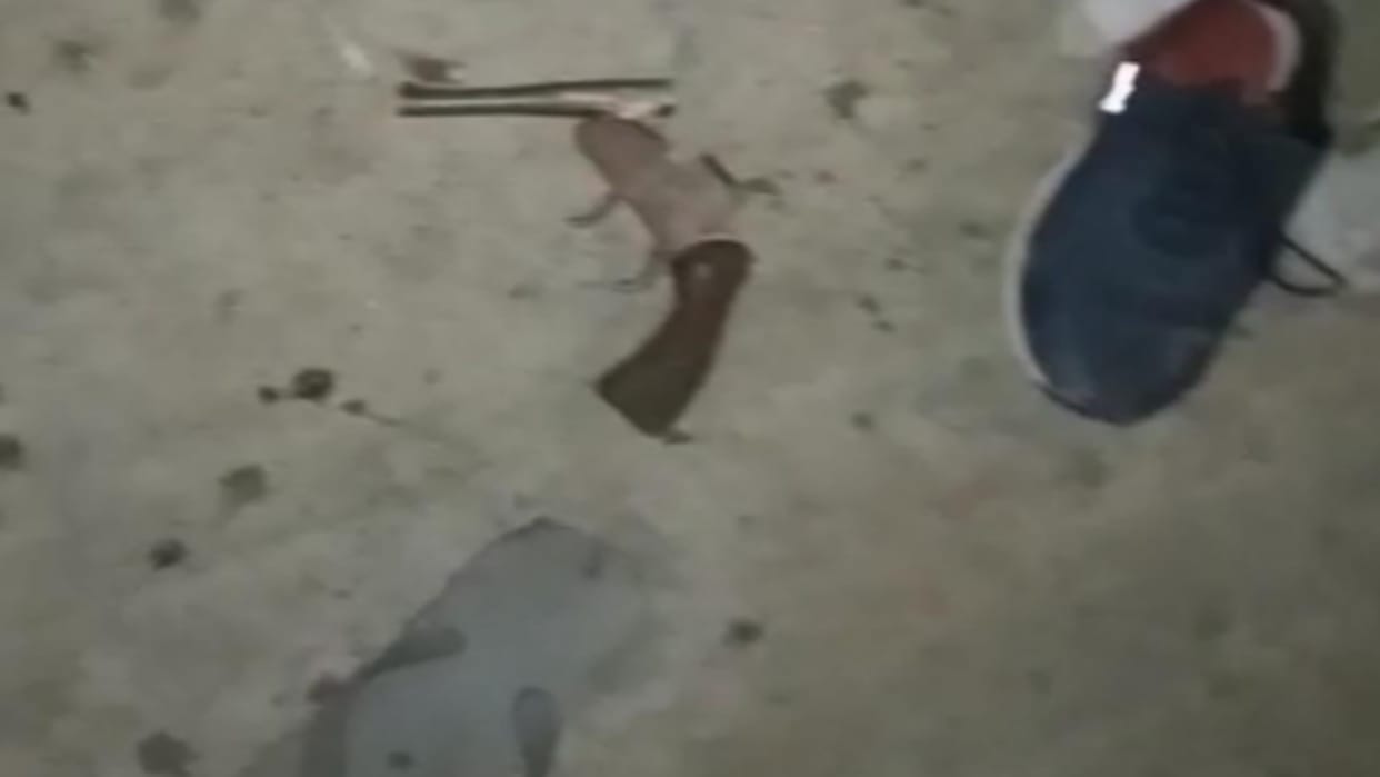 Firing late at night in Uksia of Meerut, firing 30 rounds, one killed