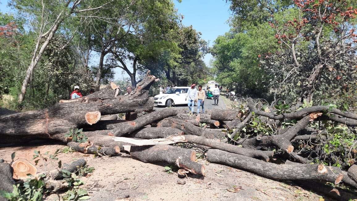 Fire in Mahua tree, traffic stalled for two hours