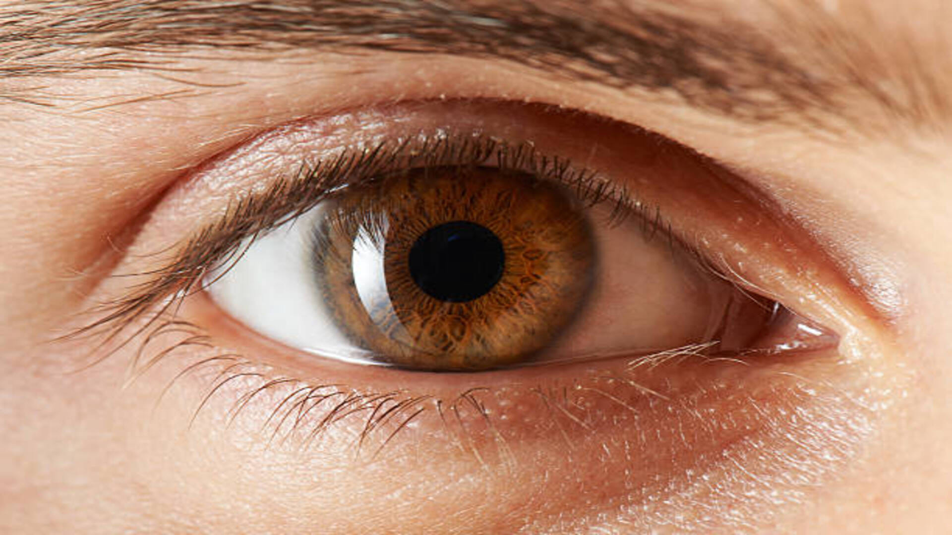 Samudrik Shastra What Does Eye Color Say About Your Personality Some Interesting Facts to Know
