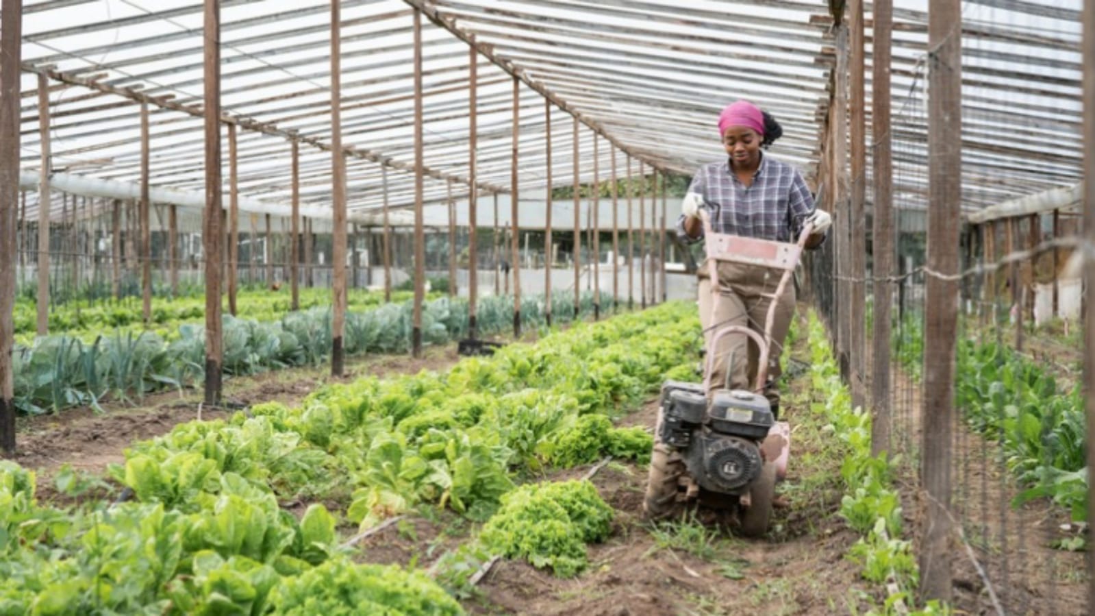 Smam Kisan Yojana you will get agriculture equipment on very low cost