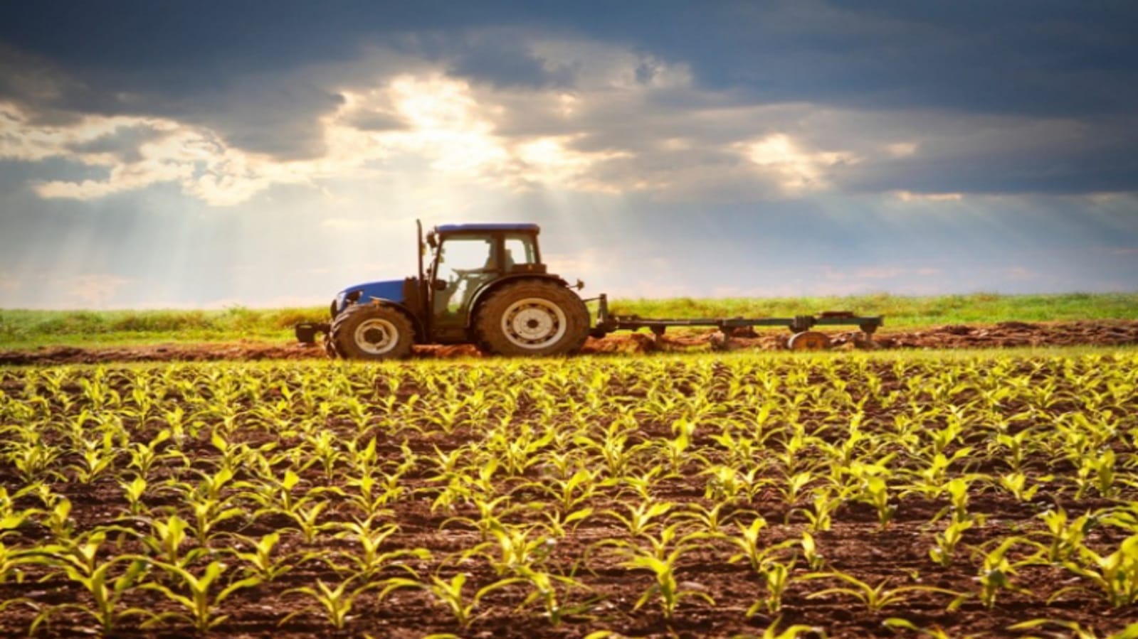 Smam Kisan Yojana you will get agriculture equipment on very low cost