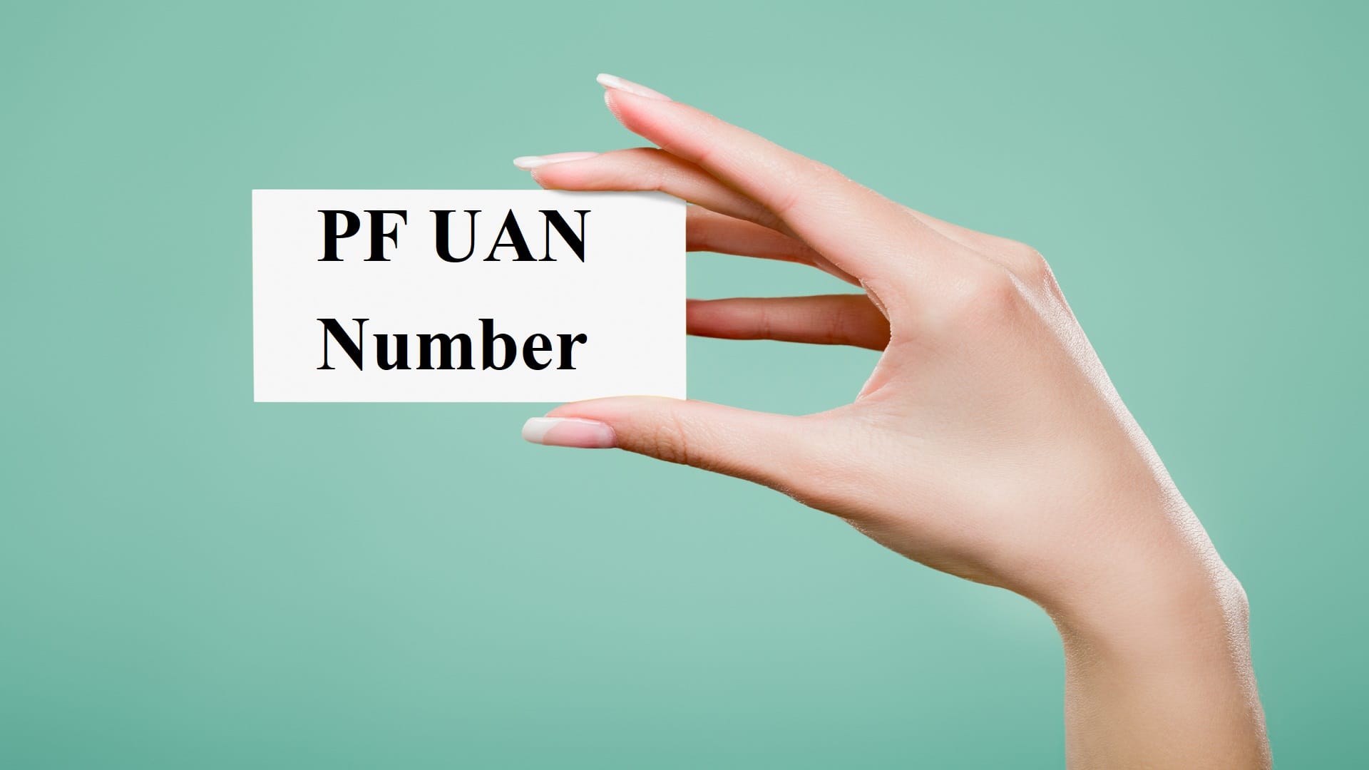 EPFO Alert PF Account Holders Data Leaked Check These Mistakes Otherwise May Face Trouble