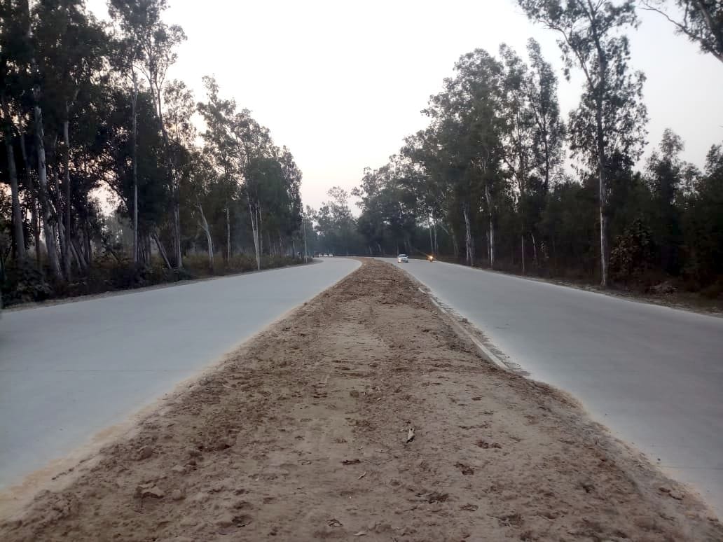Planting of fruit trees will be done along the highway