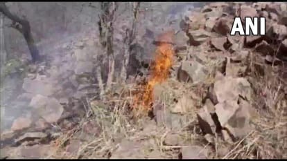 Two Air Force helicopters called to douse the fire in Sariska Tiger Reserve of Alwar