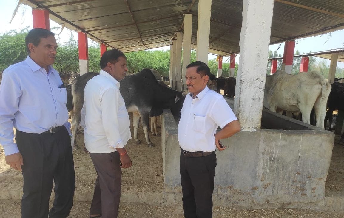 sdm check cow shelter