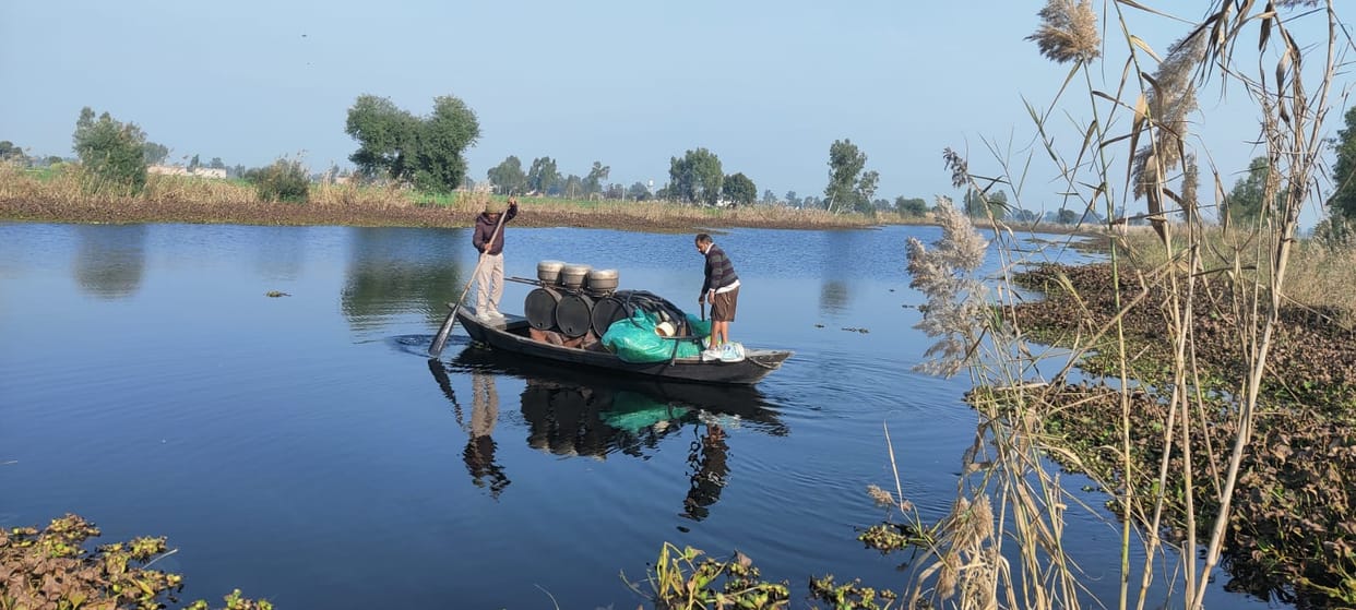 60 thousand liters of raw liquor caught from the island of reeds made in Satluj dariya