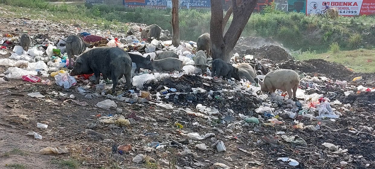 Hathras: Garbage being thrown on the streets, people are troubled by the smell