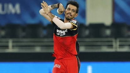 IPL 2024: Former RCB Director Mike Hesson's Big Revelation on Yuzvendra Chahal, tell the reason behind this