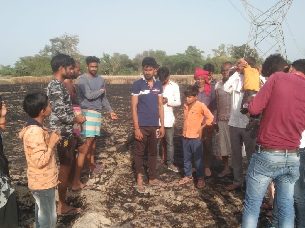 The crop burnt due to the spark of the high tension line