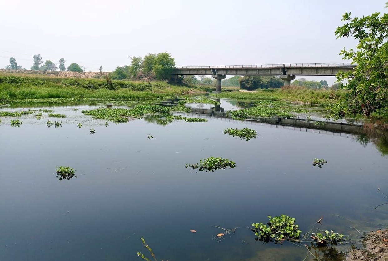 Fishes died due to release of chemical-rich water in the river