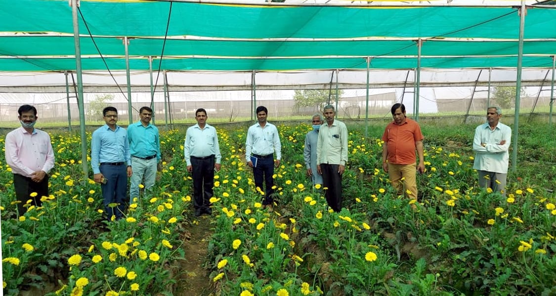 Banana, bamboo and flower farming will improve the future of farmers