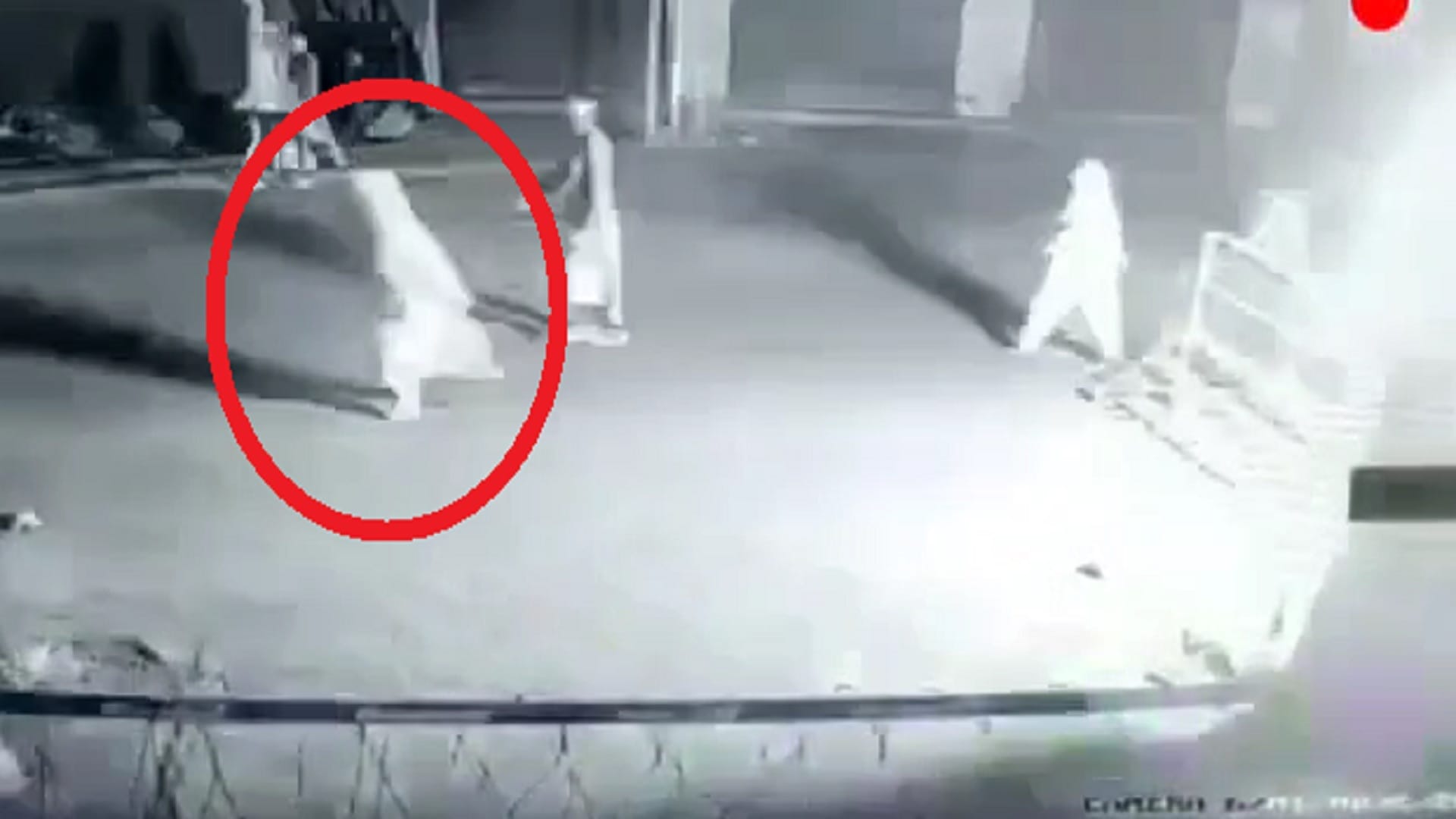 See photos of Burqa clad women hurled petrol bomb on crpf bunker in Sopore of jammu and kashmir