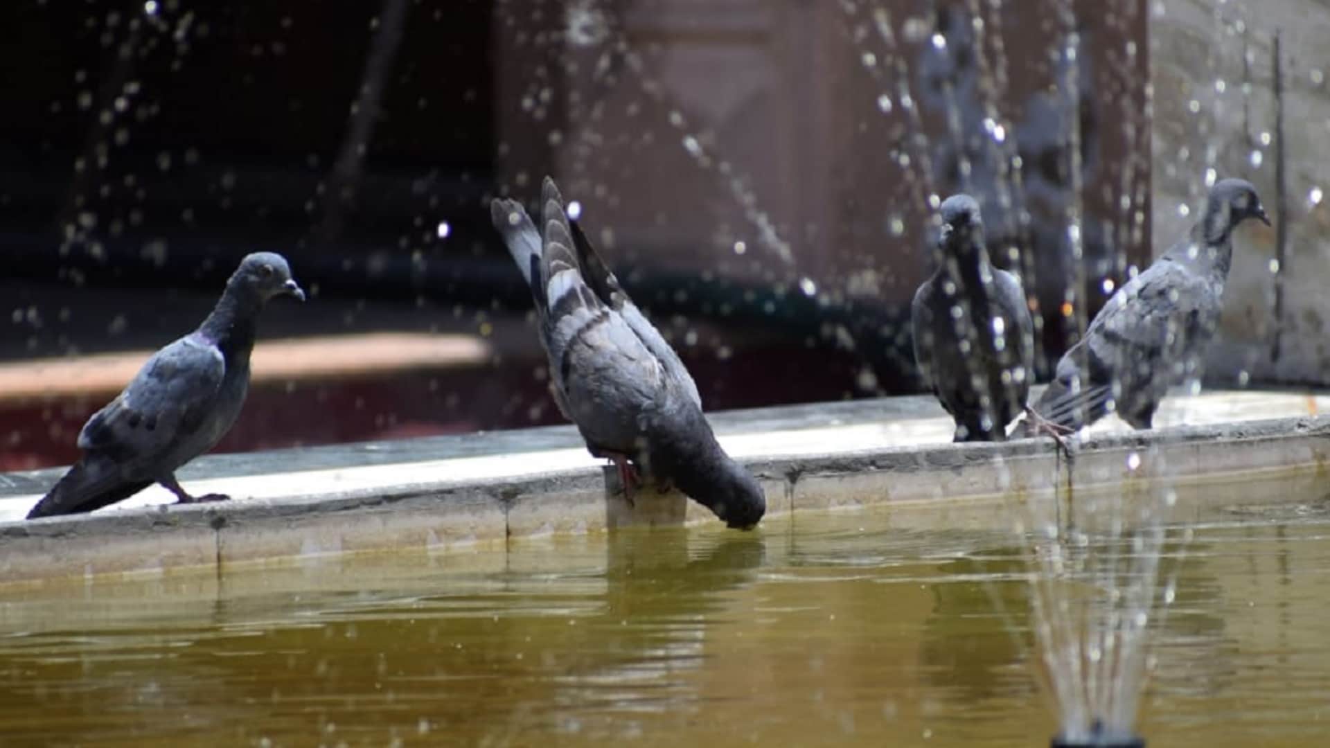 Weather Update Temperature crosses forty degree Celsius in Delhi due to heat