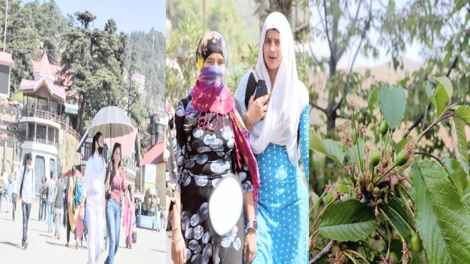 himachal weather update: After four years the temperature rose to 10 degrees 20 days ago