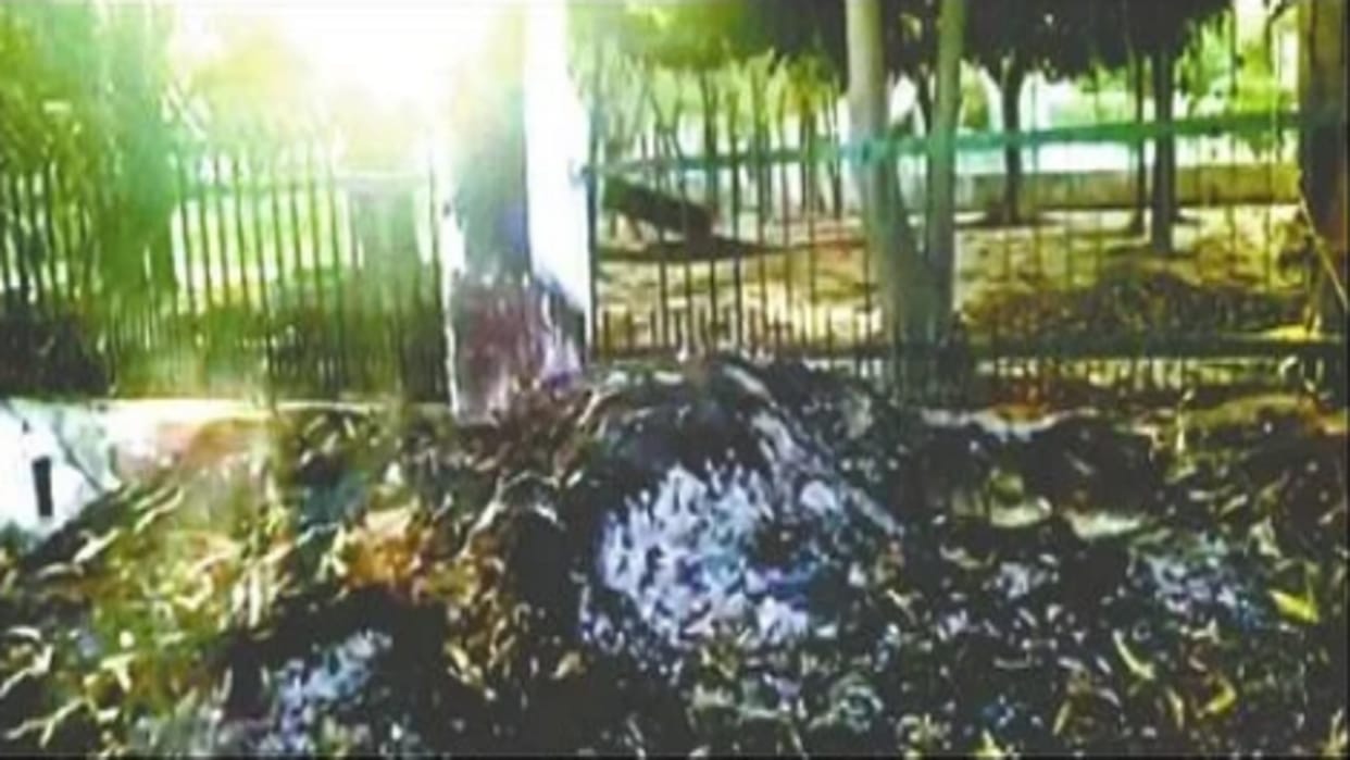 Dead body burnt after killing a young man in Lucknow Slippers soaked in blood found near bushes