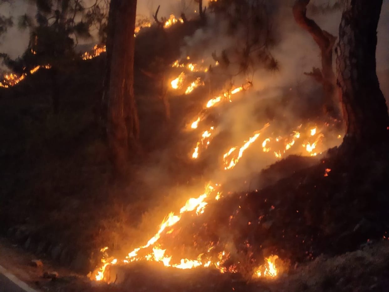 Fire At Bamrari and Simar Forest