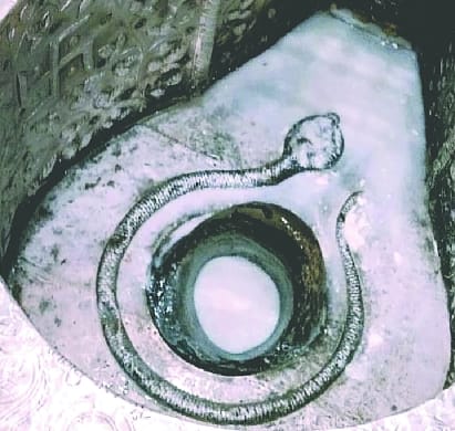 Mahadev appeared in Chhoti Kashi on Chaitra Krishna Chaturdashi