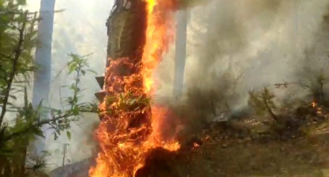 Villagers found control over forest fire