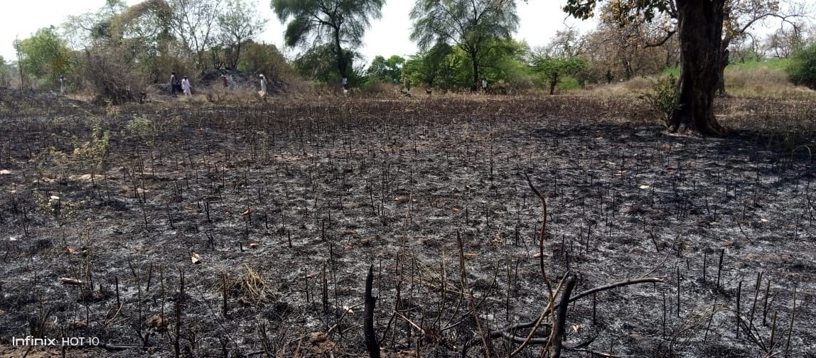 Seven bighas of crop ashes from the fire