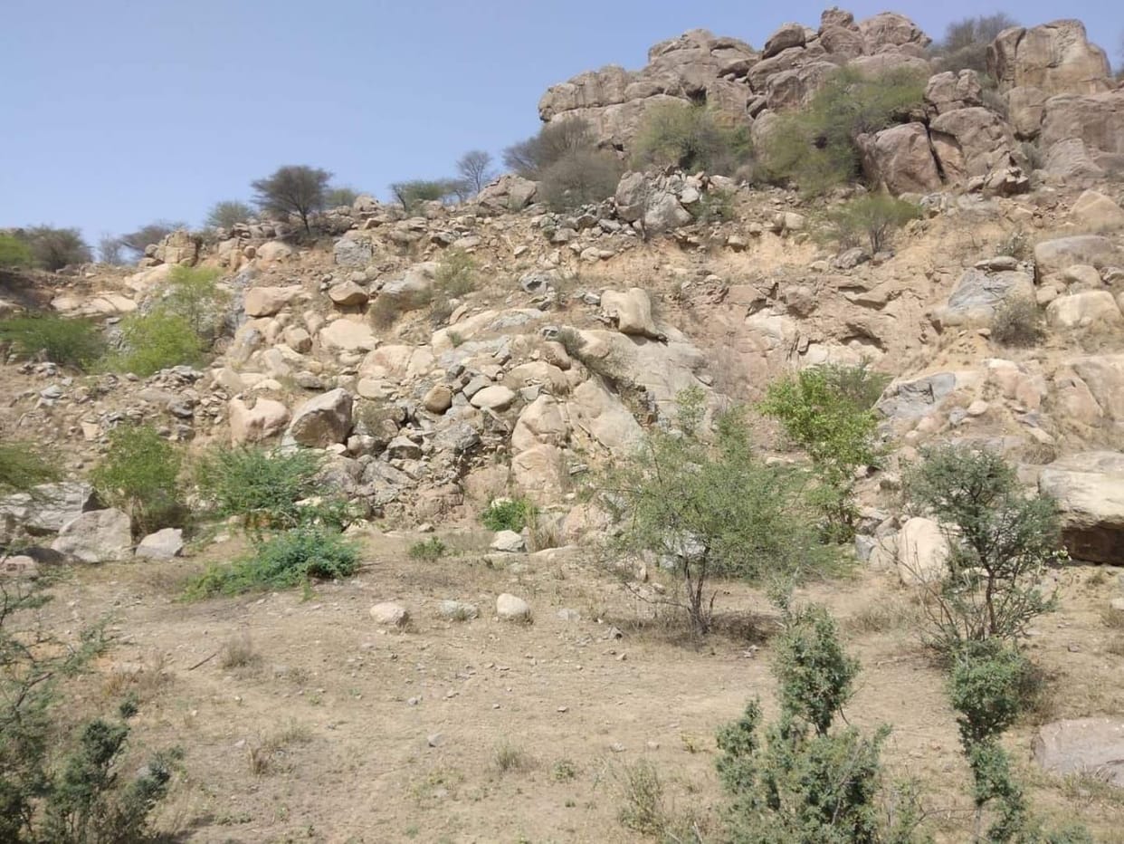 Mining work will start in Kharkadi Sohan after 17 years
