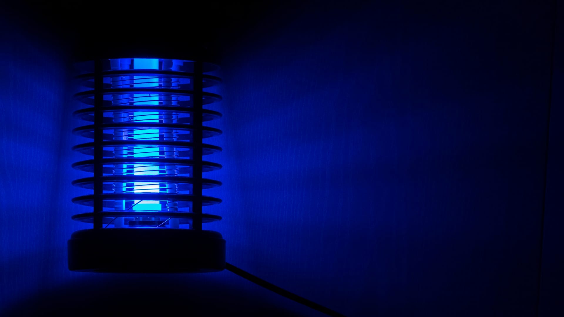 Best Electronic Led Mosquito Killer Lamp Machine price and all details are here