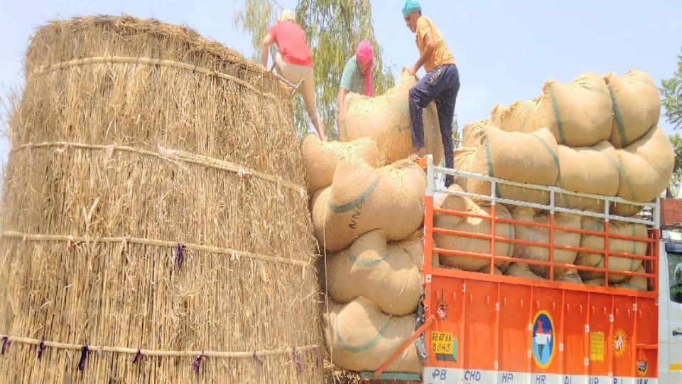 Demand for tudi of Punjab has increased in Rajasthan and Uttar Pradesh