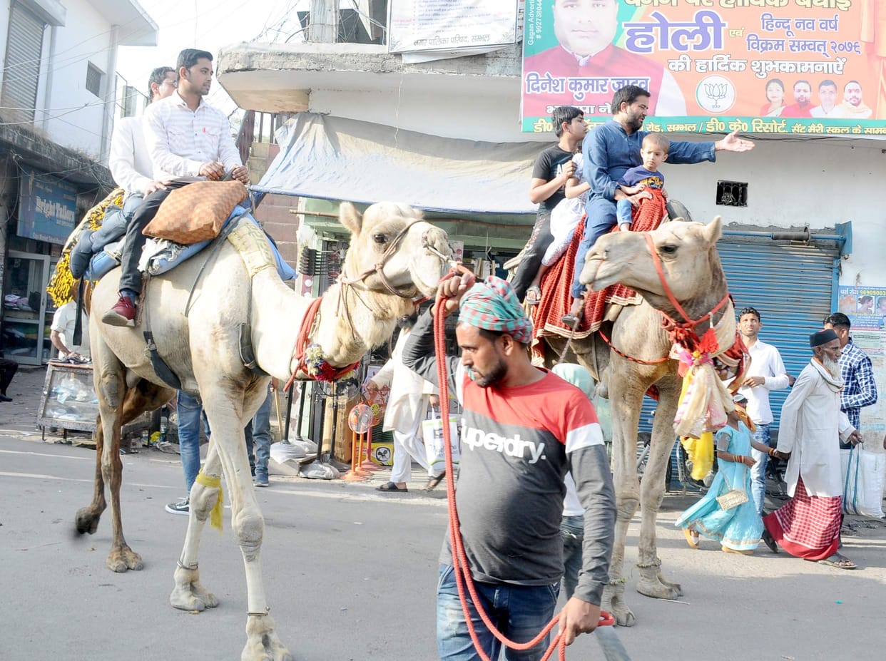 Children ride camel in Neja fair