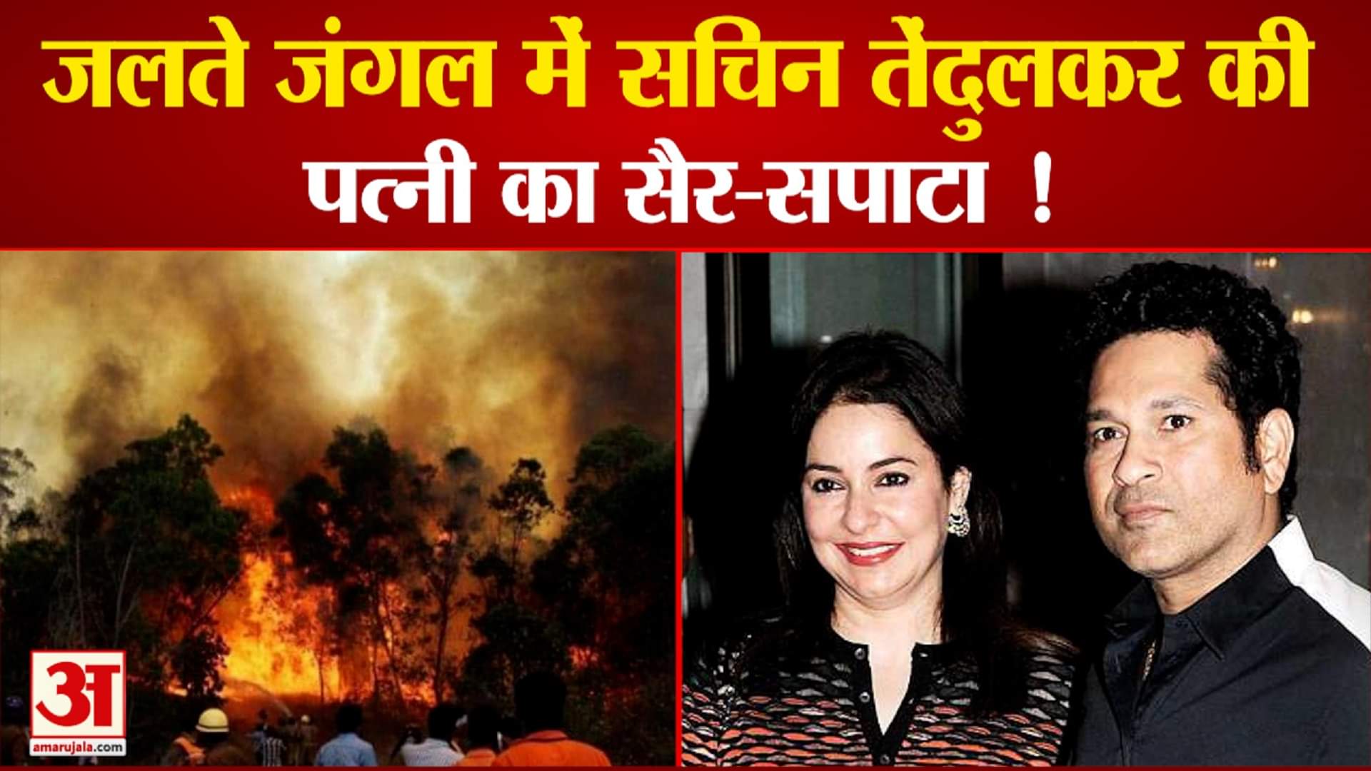 सरिस्का जंगल