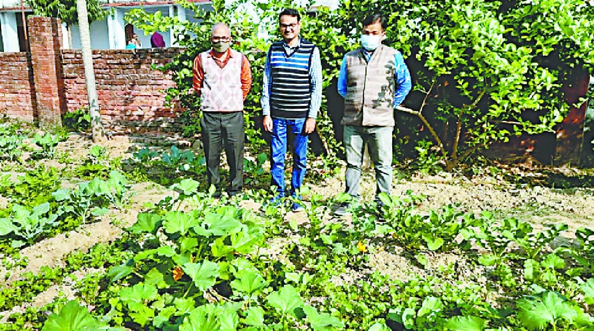 Amar Ujala Abhiyan Education Health School made green with stress management changed its face in lockdown in varanasi