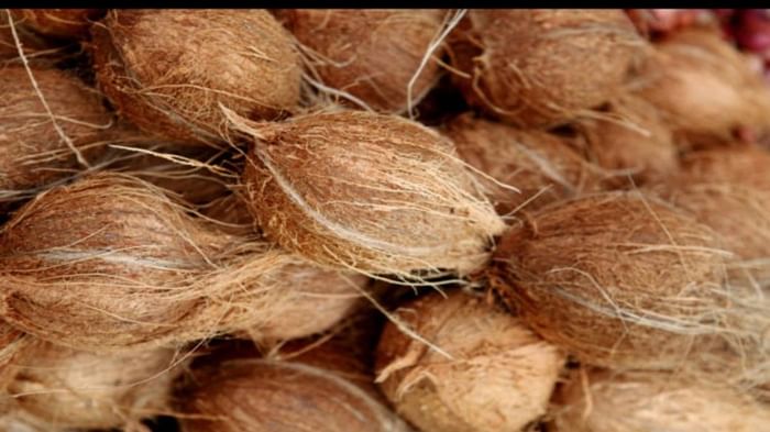 कोकोनट बर्फी है बेहतर ऑप्शन