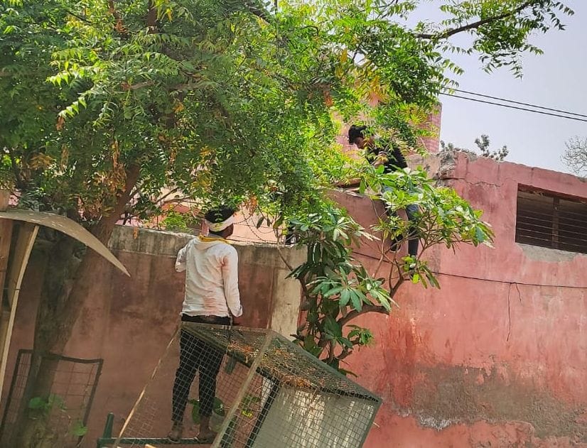 Board Exam: 15 copycats caught in 10th class social science paper