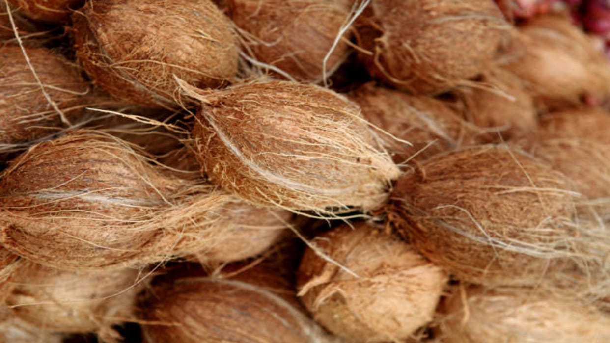 Astro Tips of coconut sriphal remedies for success and money in hindi