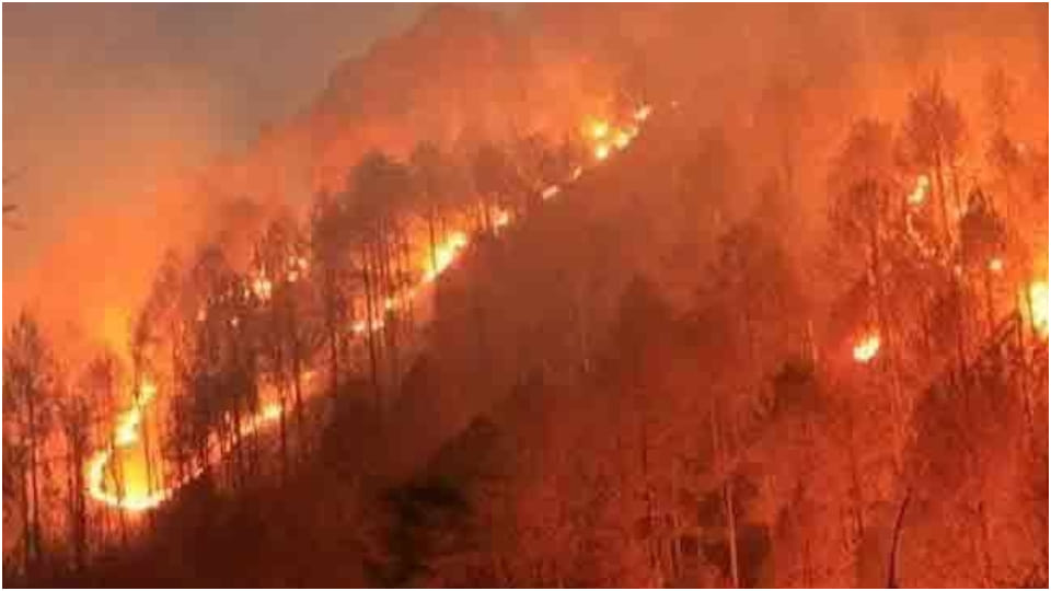 fire on the himayan hills burning forest, destruction of environment