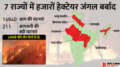 भारत के जंगलों में आग की घटनाएं