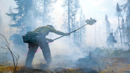 fire in forest 16840 forest fire incidents recorded in three days in India