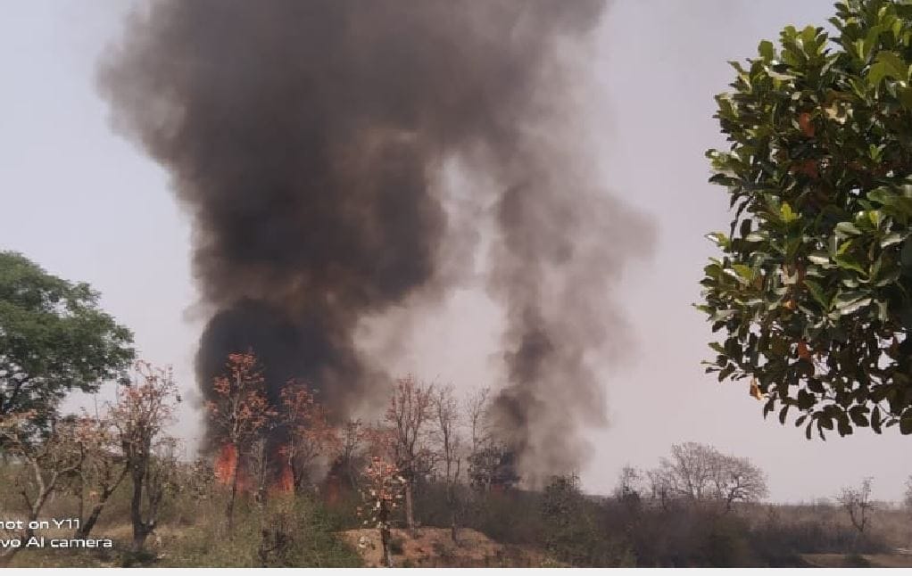 Fire in the sonebhadra forest reached the settlement, the house burnt to ashes